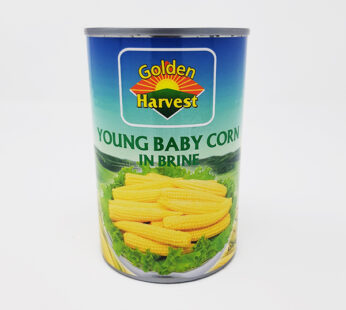 GH YOUNG BABY CORN 420G