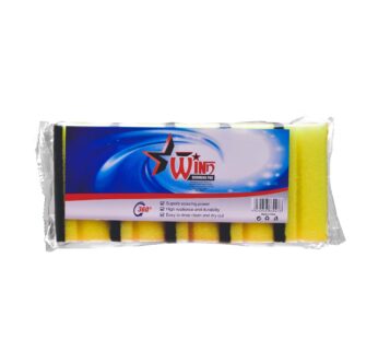 WINN SCOURING PAD 10S