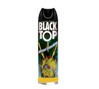 BLACK TOP INSECT SPRAY COCKROACH 400ML