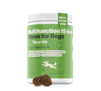 YOUMILE MULTIVITAMIN