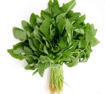 BHAJI BUNDLE